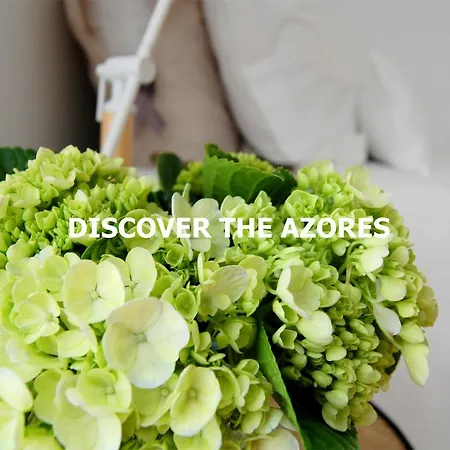 Verde'água Family * Mosteiros (Azores)