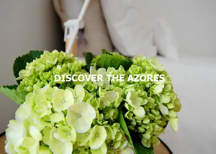 Verde'agua Family * Mosteiros (Azores)